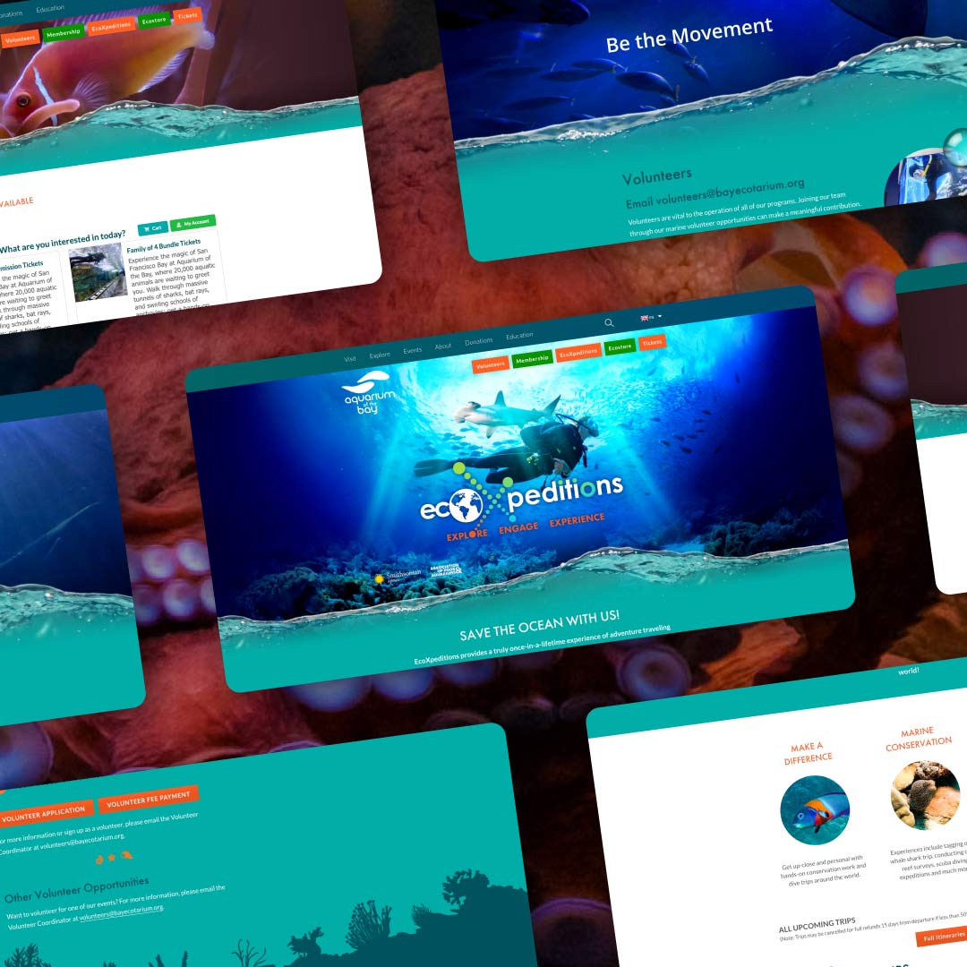 Aquarium of the Bay Ecotarium